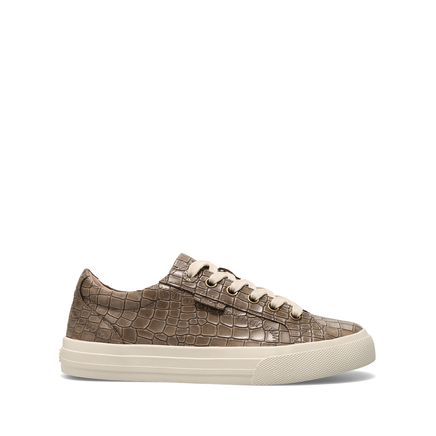 Desert Croc,5