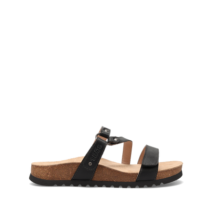 Black,6