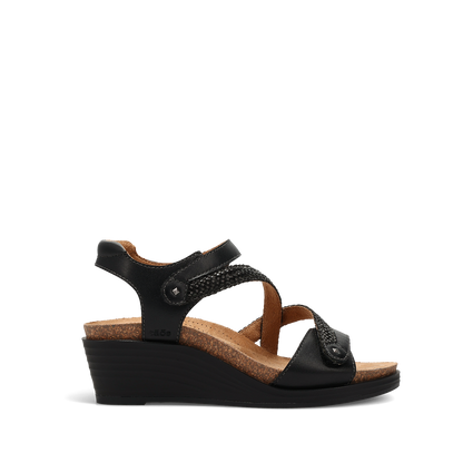 Black,6