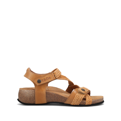 Camel,36