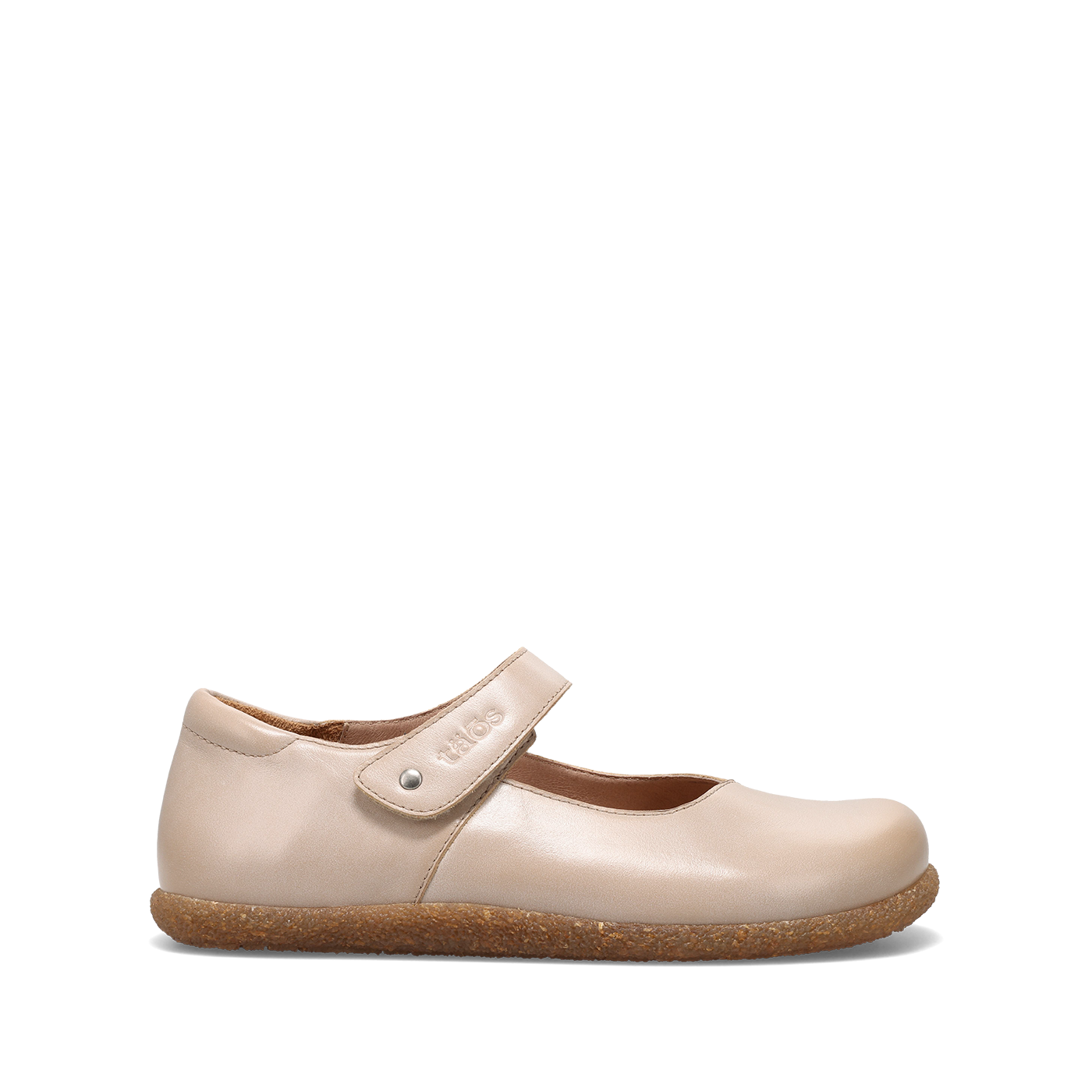 Oyster,36